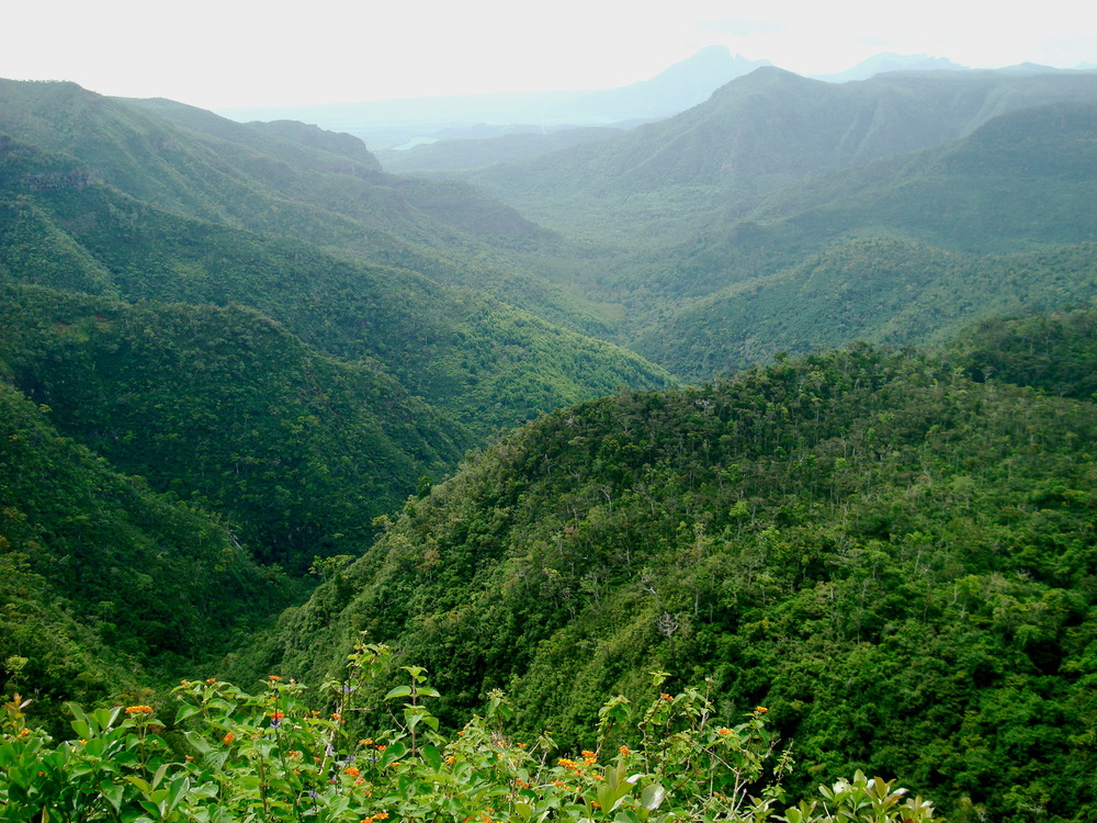 Black_River_Gorges_National_Park,_Mauritius.