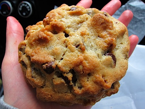 Chocolate-Chip-Walnut-Cookie.