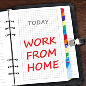 workathome_intro.