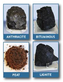 AllCoalSamples-iso.