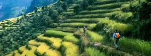 everest_annapurna_pj-rob-broek-istock-pano.